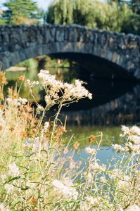 Stone bridge in a garden